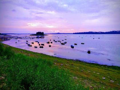 Blog: Ponds can quench everyone's thirst | ब्लॉग: तालाब बुझा सकते हैं सबकी प्यास