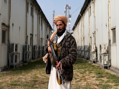 Fear in Pakistan on Taliban ignoring Doha agreement, said- 'Taliban should stop giving shelter to Tehreek-e-Taliban Pakistan' | पाकिस्तान तालिबान के दोहा समझौते की अनदेखी करने पर हुआ खौफजदा, बोला- 'तहरीक-ए-तालिबान पाकिस्तान को पालना बंद करो'