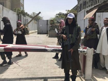 islamabad has long been custodian of taliban provided them shelter pakistan minister shiekh rashid | पाकिस्तान मंत्री शेख शहीद ने कुबूल की तालिबान को पनाह देने की बात, कहा- इस्लामाबाद लंबे समय से समूह का संरक्षक रहा है