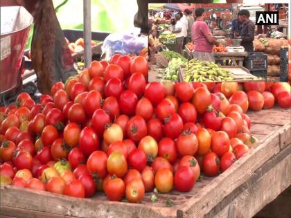 Tomatoes will be sold at farm fresh outlets in Tamil Nadu govt taken a decision amidst unexpected growth | तमिलनाडु में फार्म फ्रेश आउटलेट्स पर बेचे जाएंगे टमाटर, अप्रत्याशित वृद्धि के बीच सरकार ने लिया फैसला, इतने रुपए में मिलेंगे एक किलो