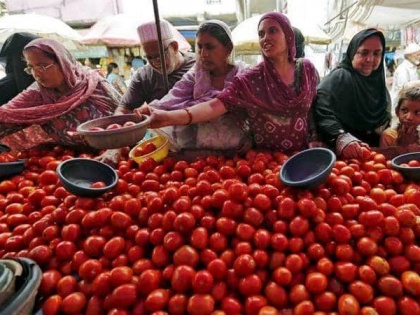Prices of tomatoes increase in Pakistan, considering import from Iran | पाकिस्तान में आसमान पर पहुंचे टमाटर के दाम, ईरान से आयात पर विचार