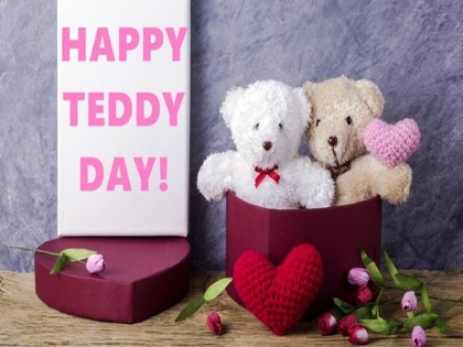 Valentine's Week, Teddy Day 2019: Celebration ideas, gifts, Quotes, Wishes, Whatsapp Status and Facebook Messages | Teddy Day 2019 : इजहार-ए-इश्क के लिए टेडी के साथ भेजें ये 5 शायरी, खुशी से झूम उठेगी आपकी पार्टनर