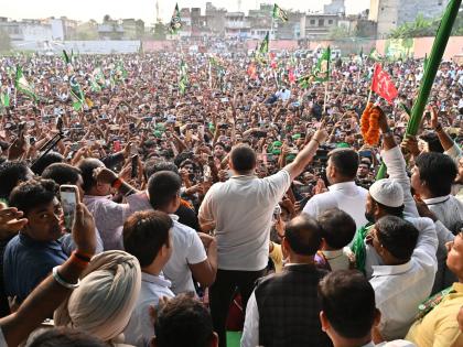 bihar polls Oath taking ceremony Chief Minister November 18 Tejashwi Yadav announces before Bihar Assembly election results are out | 14 नवंबर को रिजल्ट और मुख्यमंत्री पद की शपथ 18 नवंबर?, बिहार विधानसभा चुनाव परिणाम आने के पहले ही तेजस्वी यादव ने किया ऐलान