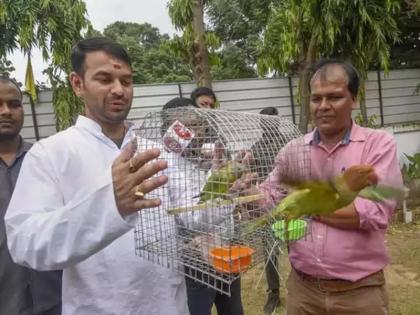 Bihar's Forest Minister Tej Pratap is involved in the campaign to fly the bird, got thousands of birds freed from the cage | चिड़िया उड़ाओ अभियान में जुटे बिहार के वन मंत्री तेज प्रताप यादव, हजारों पक्षियों को पिंजरे से कराया आजाद