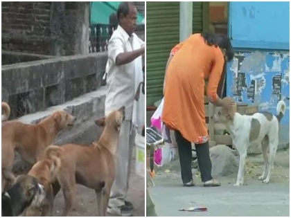 Terror unclaimed dogs increased in Kerala so far about 2 lakh people have been attacked 19 killed due to rabbies | केरल में बढ़ा लावारिस कुत्तों का आतंक, अब तक करीब 2 लाख लोगों पर कर चुके हैं हमला, 19 की हुई मौत