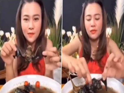 Thailand's food blogger Phonchanok Srisunaklua ate bat soup arrested may be punished 5 years Watch video | देखें वीडियो: थाईलैंड के फूड ब्लॉगर ने नोच-नोच कर खाया चमगादड़-पीया सूप, गिरफ्तार, पांच साल की हो सकती है सजा