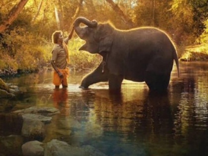 Oscars 2023: The Elephant Whisperers Wins Best Documentary Short film award | Oscars 2023: ऑस्कर में भारतीय फिल्म ने मारी बाजी, 'द एलिफेंट व्हिस्परर्स' को बेस्ट डॉक्यूमेंट्री शॉर्ट फिल्म का अवॉर्ड