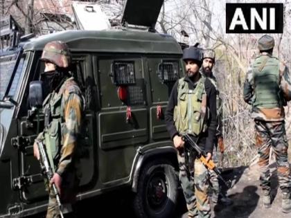 three LeT TRF terrorists killed in the Nowgam encounter in Srinagar | जम्मू-कश्मीर: नौगाम में सुरक्षाबलों के साथ मुठभेड़ में 3 आतंकी ढेर, सर्च ऑपरेशन जारी