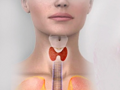 Thyroid Awareness Month Why do women have thyroid problems Know the reasons for this | Thyroid Awareness Month: महिलाओं में क्यों होती है थायराइड की समस्या? जानें इसके कारण