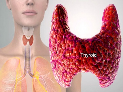 Thyroid Awareness Month Women face many problems due to increase in thyroid follow these tips to stay healthy will remain fit | Thyroid Awareness Month: थायराइड बढ़ने से महिलाओं को होती है कई दिक्कतें, स्वस्थ रहने के लिए फॉलो करें ये टिप्स; रहेंगी फिट