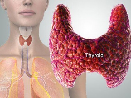 Thyroid symptoms in women: 5 early sign and symptoms of Thyroid in women's | Thyroid symptoms in women: थायरॉयड होने पर महिलाओं में नजर आ सकते हैं ये 5 लक्षण
