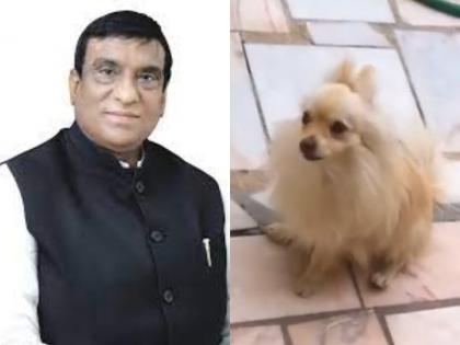 Rais Pathan of Waqf Council shared the video of the dog and wrote – Somebody stop this Trinamool MP… | वक्फ काउंसिल के रईस पठान ने कुत्ते का वीडियो शेयर करके लिखा- इस तृणमूल सांसद को कोई रोको...