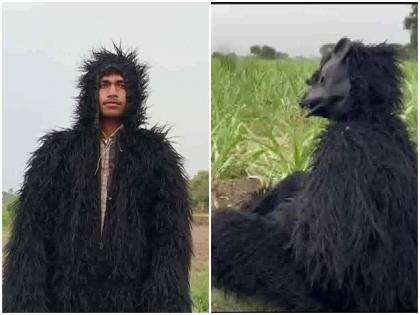 To save the fields from monkeys farmers bought bear dress Uttar Pradesh Lakhimpur Kheri | यूपी: बंदरों से खेतों को बचाने के लिए किसानों ने खरीदा भालू का पोशाक, जानवर बन ऐसे वानरों को डरा रहे किसान