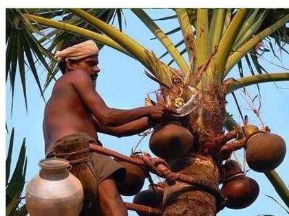 Bihar Assembly Elections Pasi community share 0-98%? Tejashwi Yadav eyes vote bank, politics intensifies over toddy | बिहार विधानसभा चुनावः पासी समुदाय की हिस्सेदारी 0.98 फीसदी?, वोट बैंक पर तेजस्वी यादव की नजर, ताड़ी को लेकर सियासत तेज