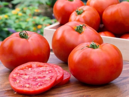 Centre slashes retail tomato prices to 70 rupees per kg | एक बार फिर टमाटर के कीमत में दर्ज की गई गिरावट, केंद्र ने 70 रुपये प्रति किलो पर बेचने का दिया निर्देश