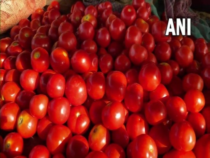 Tomato made a farmer of Andhra Pradesh a millionaire, earned Rs 4 crore in 45 days | आंध्र प्रदेश के एक किसान को टमाटर ने बना दिया करोड़पति, 45 दिन में कमाए 4 करोड़ रुपये
