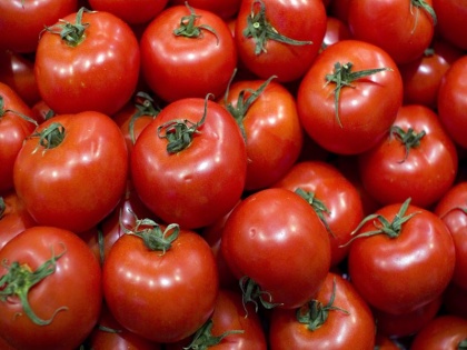 Tamil Nadu government will sell tomatoes through ration shops amid high price rice | टमाटर की आसमान छूती कीमतों के बीच इस राज्य में सरकार ने लिया बड़ा फैसला, 60 रुपये प्रति किलो पर होगी बिक्री