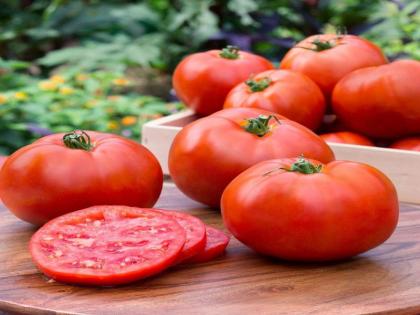 UP Minister Pratibha Shukla Says If You Stop Eating Tomatoes Prices Will Come Down | यूपी मंत्री प्रतिभा शुक्ला का बड़ा बयान- अगर आप खाना छोड़ दें तो टमाटर के दाम गिर जाएंगे