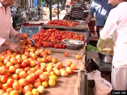 Tomato Price Hike Central government will provide relief from rising tomato prices will come down soon in Delhi-NCR | टमाटर की बढ़ती कीमतों से राहत दिलाएगी केंद्र सरकार, दिल्ली-NCR में जल्द घटेगी कीमतें