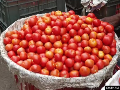 Tomatoes will soon be cheaper Finance Minister Nirmala Sitharaman announced, tomatoes will now be sold in Delhi-NCR for Rs 70 per kg | जल्द सस्ता होगा टमाटर; वित्त मंत्री निर्मला सीतारमण ने की घोषणा, दिल्ली-एनसीआर में अब इतने रुपये किलो बिकेगा टमाटर
