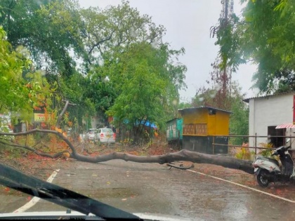 No major impact in Gujarat after ''Nisarga'' makes landfall in Maharashtra | चक्रवात निसर्ग का खतरा: गुजरात में 63700 लोगों को सुरक्षित स्थान पर पहुंचाया गया, NDRF की 18 टीमें तैनात