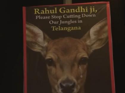 Rahul Gandhi ji please stop cutting down our jungles in Telangana BJP leader Tajinder Bagga puts up hoardings | "राहुल गांधी जी प्लीज...", दिल्ली पहुंचा तेलंगाना वन कटाई का मुद्दा, सड़कों पर कांग्रेस के खिलाफ लगे पोस्टर