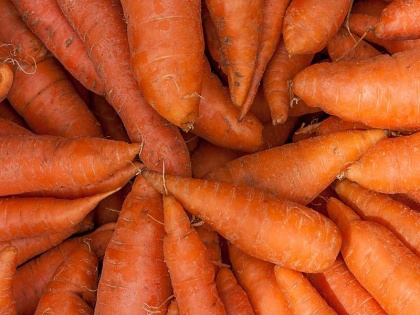 try carrot juice in winter for strong immunity glowing skin health tips in hindi | Winter Tips: सर्दियों में जी भर कर पिया कीजिए गाजर का जूस, पाएंगे मजबूत इम्यूनिटी रहेगा पेट भी साफ, निखरेगा चेहरे का ग्लो-दिखेंगे हर दम जवां