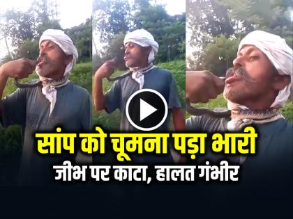 Trying to kiss a snake, the snake bit the man tongue, watch video | VIDEO: सांप को चूमना पड़ा भारी, जीभ पर काटा, हालत गंभीर, देखें वीडियो Trying to kiss a snake, the snake bit the man tongue, watch video | VIDEO: सांप को चूमना पड़ा भारी, जीभ पर काटा, हालत गंभीर, देखें वीडियो