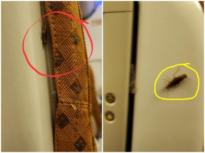 UN official shocked to see cockroaches broken seat poisonous spray Air India flight sought clarification by tata group tweeting | फोटो: एयर इंडिया की फ्लाइट में 'कॉकरोच, टूटी सीट और जहरीला स्प्रे' देख हैरान रह गया यूएन अधिकारी, ट्वीट कर मांगा स्पष्टीकरण
