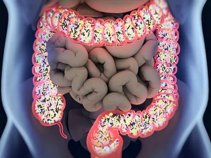 sign and symptoms of an unhealthy gut, home remedies for healthy and strong gut and stomach in Hindi | पेट खराब होने पर शरीर देता है 7 चेतावनी, पेट को साफ व स्वस्थ रखने के 5 घरेलू उपचार