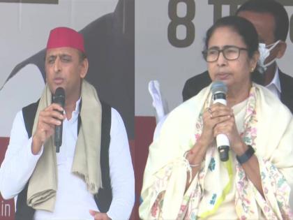 UP Election 2022 mamata banerjee appeals to defeat bjp and support samajwadi party | UP Election 2022: अखिलेश संग ममता ने भाजपा पर साधा निशाना, कहा- झूठे वादों के झांसे में न आएं लोग, अल्पसंख्यकों से की ये अपील UP Election 2022 mamata banerjee appeals to defeat bjp and support samajwadi party | UP Election 2022: अखिलेश संग ममता ने भाजपा पर साधा निशाना, कहा- झूठे वादों के झांसे में न आएं लोग, अल्पसंख्यकों से की ये अपील