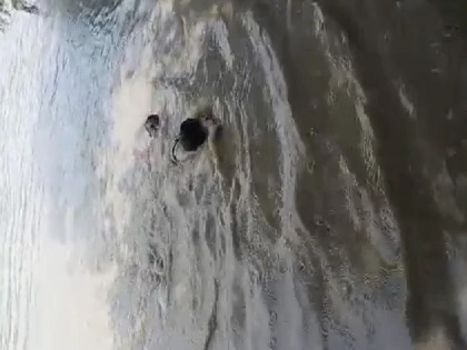up police sub inspector sees man drowning jumps into the river video viral | युवक को डूबता देख सब इंस्पेक्टर ने नदी में लगाई छलांग, बहादुरी को हर कोई कर रहा सलाम, देखें वीडियो