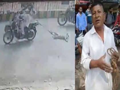 up Pratap Vihar Man tied to bike and dragged dog for about 1 km arrested accused of attacking him with brick police | Video: बाइक से बांधकर करीब 1 किलोमीटर तक कुत्ते को घसीटने वाला शख्स हुआ गिरफ्तार, आरोप- ईंट से हमला कर किया था बेहोश