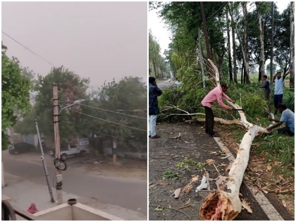 weather up trees and electric poles uprooted by strong storm life affected | जोरदार आंधी-तूफान से यूपी में उखड़े पेड़ और बिजली के खंभे, टिन की छतें उड़ीं, जनजीवन प्रभावित