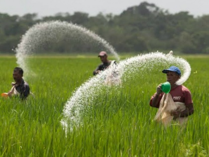 Govt to consider fixing nutrient-based subsidy rate for urea: Sources | यूरिया के लिए पोषण आधारित सब्सिडी दर तय करने पर सरकार कर रही विचार: सूत्र