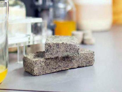 World's First Human Urine Brick made in South Africa | मानव मूत्र का बेहतर इस्तेमाल, मूत्र से बनाई दुनिया की पहली ईंट