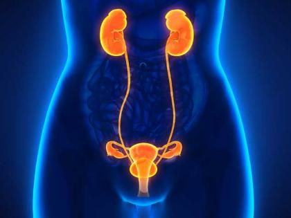 Health tips: larvae found in women bladder, what is Urinary myasis, cause, sign and symptoms in Hindi | पेशाब के समय दर्द के साथ निकलने लगे छोटे-छोटे कीड़े, जानें क्या है यह समस्या और किन लोगों को इसका खतरा