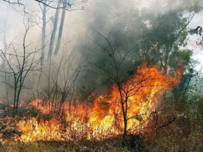 Uttarakhand Police arrested three people from Bihar for allegedly promoting forest fires | उत्तराखंड के जंगलों में भड़की आग के पीछे साजिश! पुलिस ने बिहार के तीन युवकों को गिरफ्तार किया