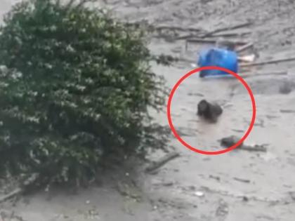 Uttarkashi Cloudburst Flash Floods all who listen sad cry rising from Uttarkashi blog Abhishek Kumar Singh | Uttarkashi Cloudburst Flash Floods: आखिर कौन सुनेगा उत्तरकाशी से उठी करुण पुकार?