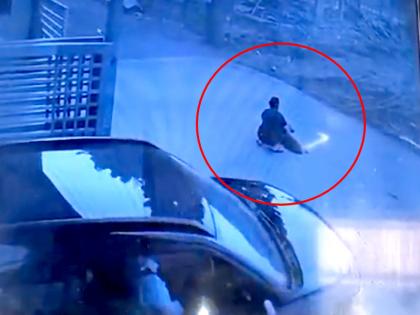 Woman was feeding the dogs when she was hit by a car coming from behind the horrifying video of the accident went viral | Viral Video: महिला खिला रही थी कुत्तों को खाना, पीछे से कार ने मारी टक्कर, हादसे का खौफनाक वीडियो वायरल