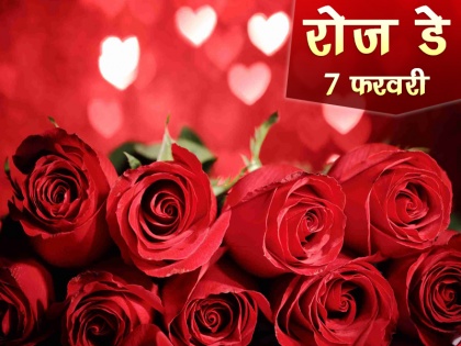 Rose Day 2023 meaning behind the color of your Valentine's Day rose | Rose Day 2023: आज से शुरू हुआ वैलेंटाइन वीक, रोज डे के मौके पर जानिए हर गुलाब का अर्थ