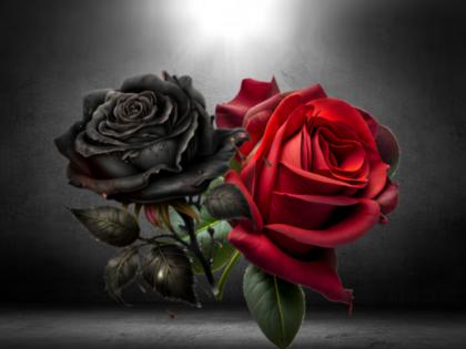 Valentine's Day 2025: प्यार का प्रतीक वेलेंटाइन डे से जुड़ा है काला इतिहास, 14 फरवरी का राज जानकर हो जाएंगे रोंगटे खड़े