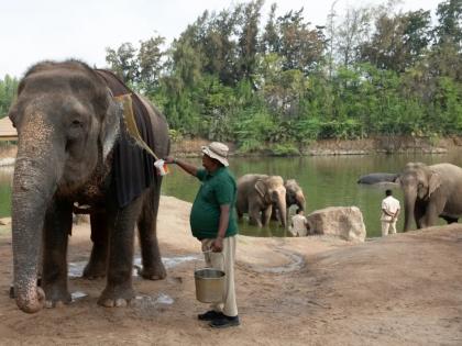 Empowering patrons How Vantara works for well-being of its employees | संरक्षकों को सशक्त बनाना: वंतारा अपने कर्मचारियों की भलाई के लिए कैसे काम करता