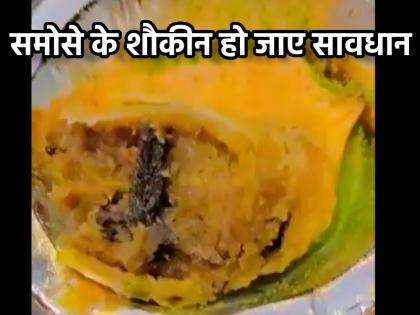 Viral Video Frog leg Found Inside Samosa In Ghaziabad Bikaner Sweets Store Owner Taken Into Custody | Viral Video: गर्म-गर्म समोसे का लुत्फ उठा रहा था शख्स, तभी निकला कुछ ऐसा; उड़ गए होश...