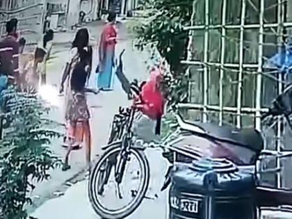 Video viral agra Woman thrashing dog fiercely holding her neck strap slammed ground 5 to 6 times up police | Video: महिला ने की कुत्ते की जमकर पिटाई, गले का पट्टा पकड़ 5 से 6 बार जमीन पर पटका