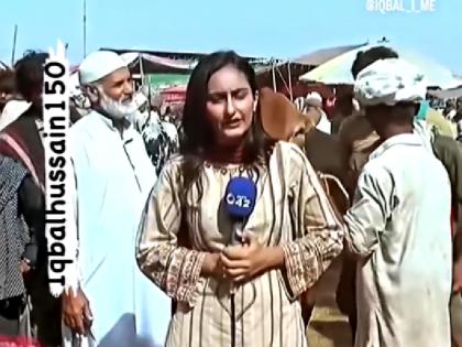 WATCH Female journalist was doing live reporting then the bull came Then something like this happened | WATCH: लाइव रिपोर्टिंग कर रही थी महिला पत्रकार, तभी आया सांड; फिर हुआ कुछ ऐसा...