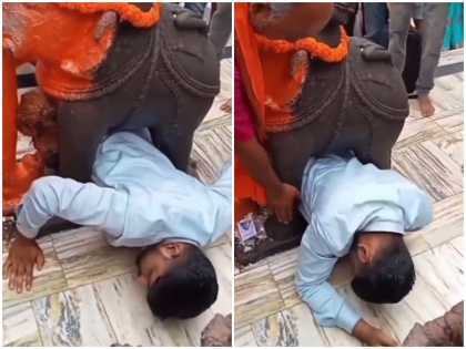 WATCH Devotee gets stuck under elephant statue at mp temple video goes viral | मध्य प्रदेश के मंदिर में हाथी की मूर्ति के नीचे फंसा भक्त, निकलने को लेकर करता रहा जद्दोजहद, देखें वायरल वीडियो