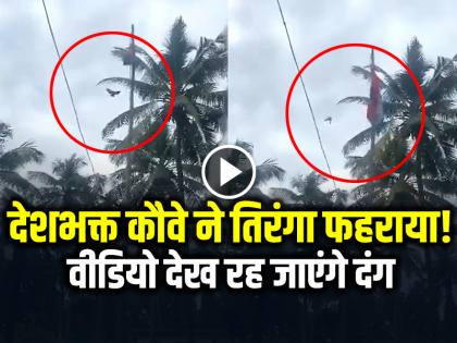 Viral Video Bird Unfurls National Flag In Kerala see video | VIDEO: देशभक्त कौवे ने तिरंगा फहराया!, वीडियो देख रह जाएंगे दंग, आंखों पर यकीन करना मुश्किल Viral Video Bird Unfurls National Flag In Kerala see video | VIDEO: देशभक्त कौवे ने तिरंगा फहराया!, वीडियो देख रह जाएंगे दंग, आंखों पर यकीन करना मुश्किल