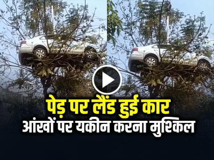 Viral Video Car Landed on Tree Flying car stuck on a tree | VIDEO: पेड़ पर लैंड हुई कार, आंखों पर यकीन करना मुश्किल, देखें वीडियो