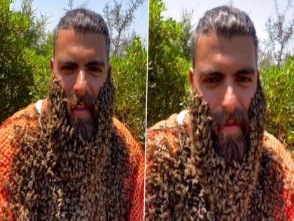 viral video shows man put Swarm of Bees in his chest neck and beard see clip | Viral Video: शख्स के सीना, गर्दन और दाढ़ी पर लटका था मधुमक्खियों का झुंड, वीडियो देख इंटरनेट यूजर ने कहा- क्या इसको नहीं लगता है डर